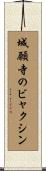 城願寺のビャクシン Scroll