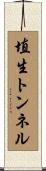 埴生トンネル Scroll