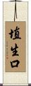 埴生口 Scroll