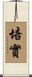 培實 Scroll