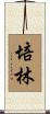 培林 Scroll