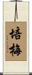 培梅 Scroll
