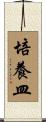 培養皿 Scroll