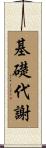 基礎代謝 Scroll