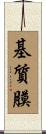 基質膜 Scroll