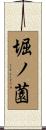堀ノ薗 Scroll