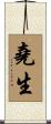 堯生 Scroll