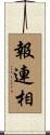 報連相 Scroll