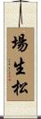 場生松 Scroll