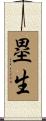 塁生 Scroll