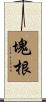 塊根 Scroll