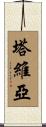 Tavia Scroll