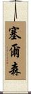 Celson Scroll