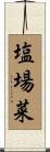 塩場菜 Scroll