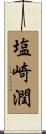 塩崎潤 Scroll
