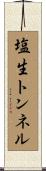 塩生トンネル Scroll