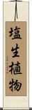 塩生植物 Scroll