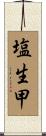 塩生甲 Scroll