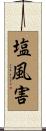 塩風害 Scroll