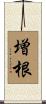 増根 Scroll