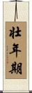 壮年期 Scroll