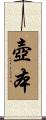 壺本 Scroll