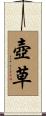 壺草 Scroll