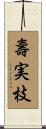 壽実枝 Scroll