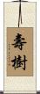 壽樹 Scroll