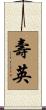 壽英 Scroll