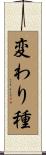 変わり種 Scroll