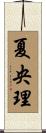 夏央理 Scroll