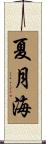 夏月海 Scroll