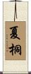 夏桐 Scroll