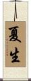 夏生 Scroll