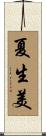 夏生美 Scroll