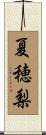 夏穂梨 Scroll