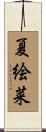 夏絵菜 Scroll