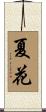 夏花 Scroll
