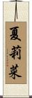 夏莉菜 Scroll