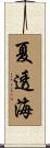 夏透海 Scroll