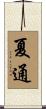 夏通 Scroll