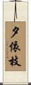 夕依枝 Scroll