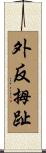 外反拇趾 Scroll