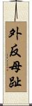 外反母趾 Scroll
