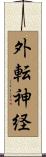 外転神経 Scroll