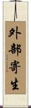 外部寄生 Scroll