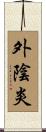外陰炎 Scroll