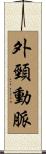 外頸動脈 Scroll
