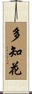 多知花 Scroll